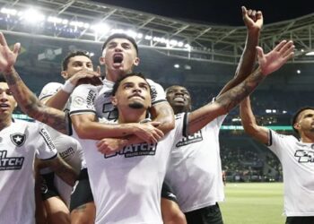 Botafogo consegue importante vitória contra o Palmeiras pelo Brasileirão. • Vitor Silva/Botafogo