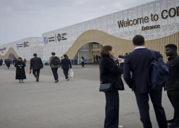 COP 29 ACORDO