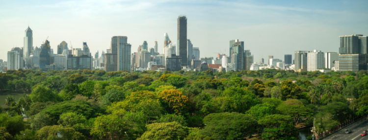 Miniflorestas urbanas: Macaé lança projeto de reflorestamento da cidade.