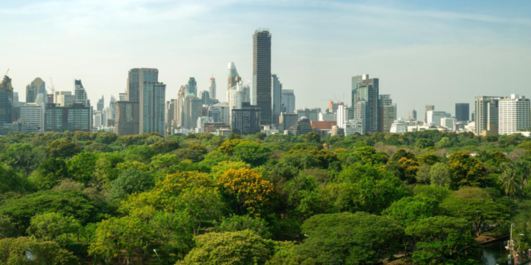 Miniflorestas urbanas: Macaé lança projeto de reflorestamento da cidade.