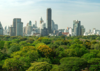 Miniflorestas urbanas: Macaé lança projeto de reflorestamento da cidade.