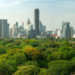 Miniflorestas urbanas: Macaé lança projeto de reflorestamento da cidade.