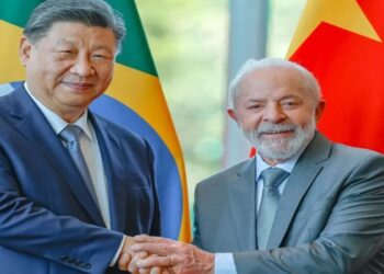 Brasil e China fecham acordos que podem render mais de US$ 500 milhões ao agro brasileiro