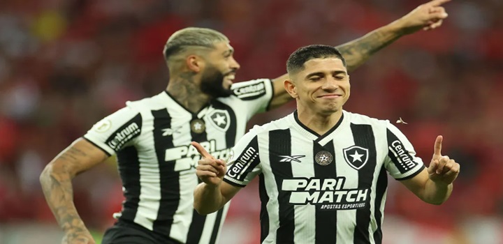 botafogo campeao