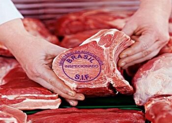 carne brasileira exportação