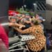 VIIOLENCIA POLICIAL EM BARUERI