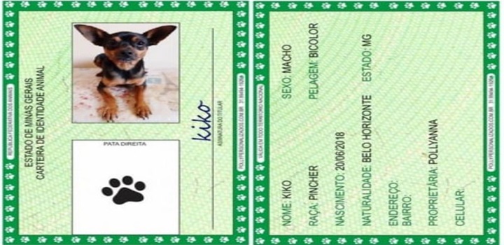 Animais domésticos terão direito a RG com cadastro nacional