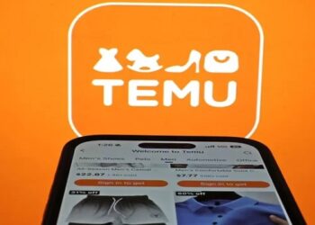 temu black friday