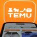 temu black friday