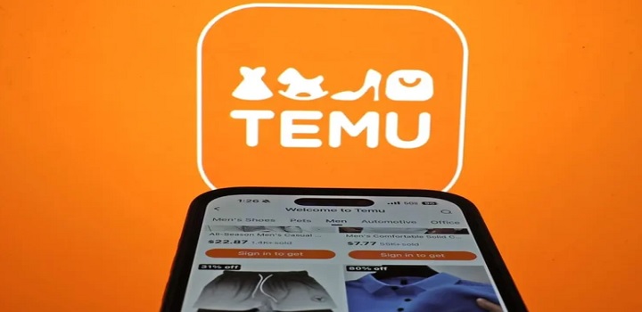 temu black friday