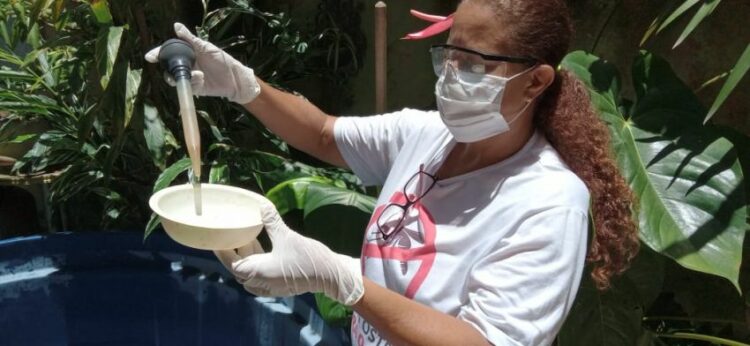 Dengue e chikungunya: mortes no Brasil em janeiro de 2025.e