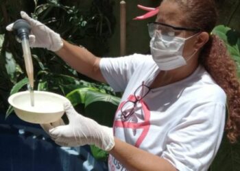 Dengue e chikungunya: mortes no Brasil em janeiro de 2025.e