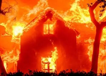 prejuizos com incendios em los angeles