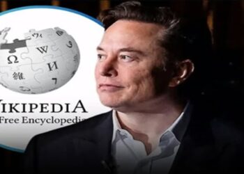 elon musk wikipedia nazismo