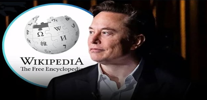 elon musk wikipedia nazismo