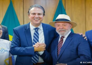 bolsa licenciatura