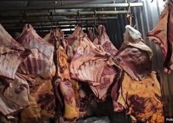 Picanha podre em enchentes no RS é vendida em todo o país