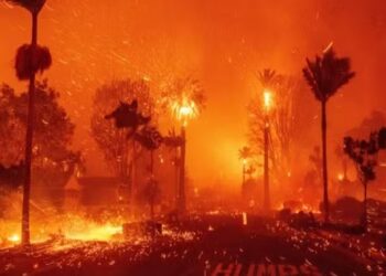 origem dos incendios em los angeles