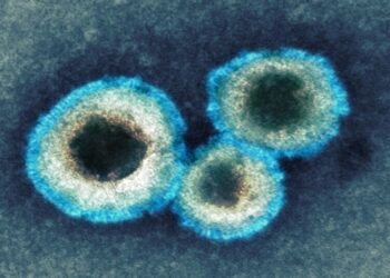 METAPNEUMOVIRUS HUMANO