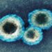 METAPNEUMOVIRUS HUMANO