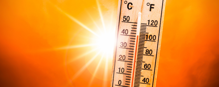 Calor extremo no RJ e SP! Temperaturas acima de 40°C e sensação térmica ainda maior. Cuidado redobrado com idosos, crianças e quem tem problemas de saúde.