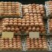 Como a alta dos preços dos ovos afeta usuários de Ozempic e Wegovy nos EUA