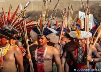 luta indigena