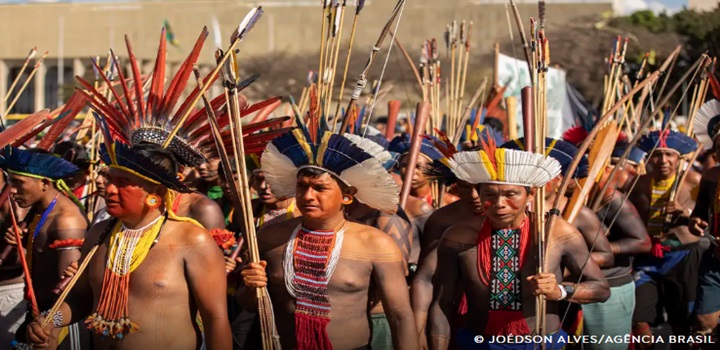 luta indigena
