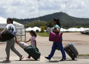 imigrantes no brasil