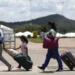imigrantes no brasil