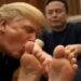 donald tump beija pés de elon musk