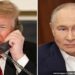 donald trump guerra da ucrania