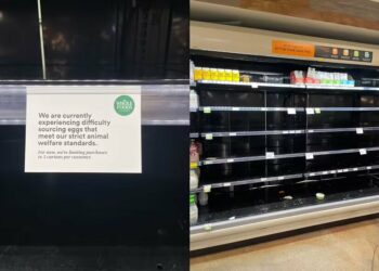 crise do ovo nos estados unidos