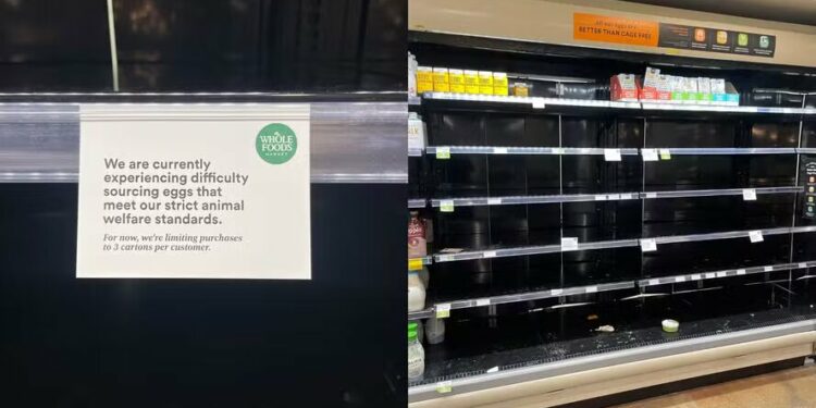 crise do ovo nos estados unidos