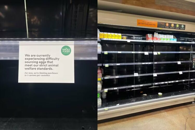 crise do ovo nos estados unidos
