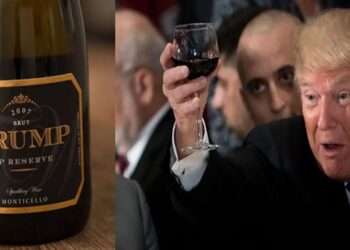 donald trump vinhos