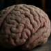 Quando a inteligência artificial encontra uma geração que não lê: o preço da pressa por resultados