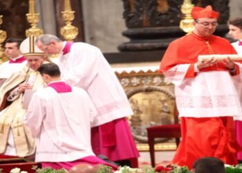 dom sergio da rocha novo papa