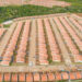 Minha Casa minha vida