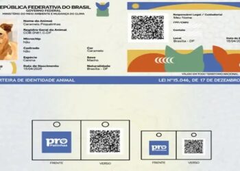 rg para cães e gatos como funciona