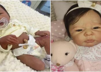 Coren fala sobre bebês reborn