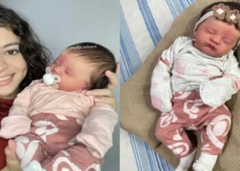 projetos de lei bebes reborn