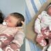 projetos de lei bebes reborn