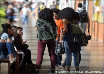cotas raciais para concursos