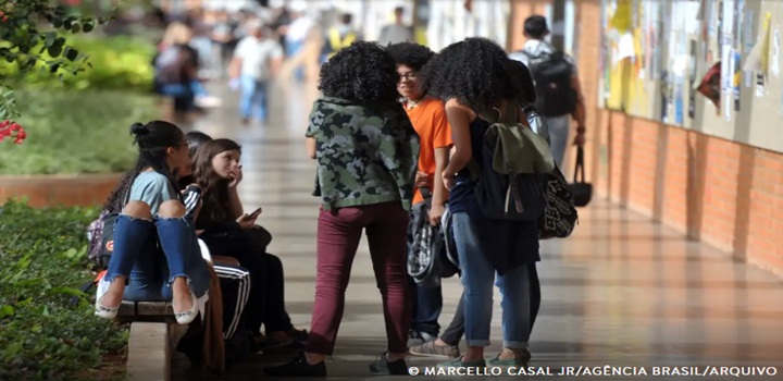 cotas raciais para concursos