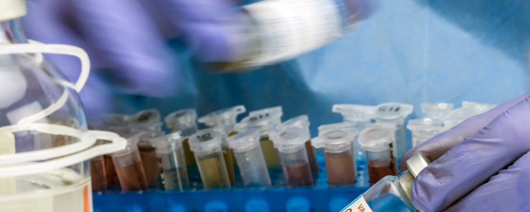 Anvisa divulga balanço de ensaios clínicos em 2024, com destaque para câncer e doenças raras. Novas regras em 2025 prometem maior agilidade nos processos.