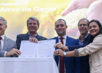 Com foco na segurança alimentar e na valorização da agricultura familiar, o Programa Arroz da Gente é relançado com R$ 17 milhões em investimentos e ações integradas entre Conab, MDA e instituições parceiras.