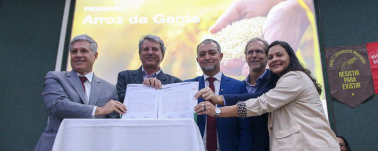 Com foco na segurança alimentar e na valorização da agricultura familiar, o Programa Arroz da Gente é relançado com R$ 17 milhões em investimentos e ações integradas entre Conab, MDA e instituições parceiras.