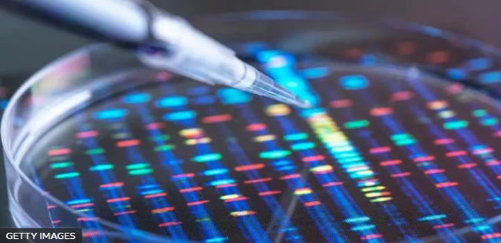 Por que Inglaterra vai fazer teste de DNA em todos os recém-nascidos
