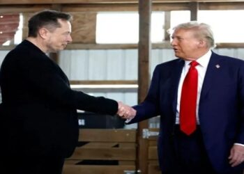elon musk briga donald trump